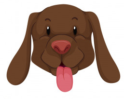 Fientje van de Fairbreed